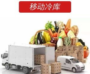 2020上海金山保鮮物流倉儲哪家好上海金山保鮮物流倉儲放心的便宜